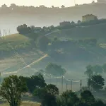 Wellness Hillside House In Le Marche بيت للعطل ريكاناتي