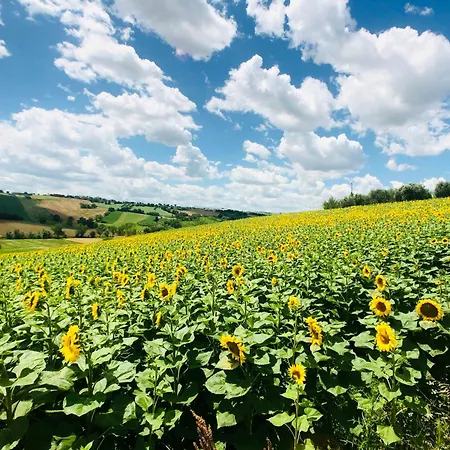 Wellness Hillside House In Le Marche 雷卡纳蒂
