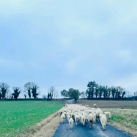 度假居 Wellness Hillside House In Le Marche *