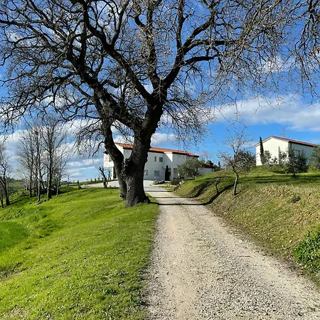 Wellness Hillside House In Le Marche 度假居 雷卡纳蒂