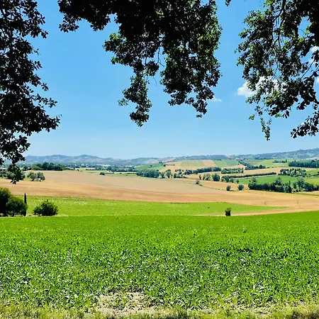 Wellness Hillside House In Le Marche